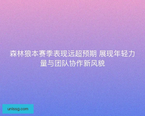 森林狼本赛季表现远超预期 展现年轻力量与团队协作新风貌