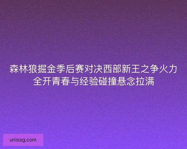 森林狼掘金季后赛对决西部新王之争火力全开青春与经验碰撞悬念拉满