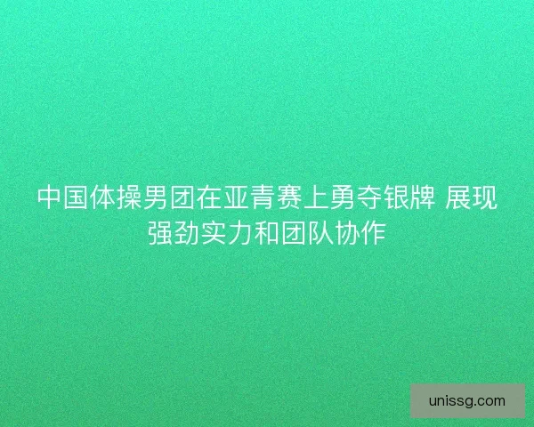 中国体操男团在亚青赛上勇夺银牌 展现强劲实力和团队协作